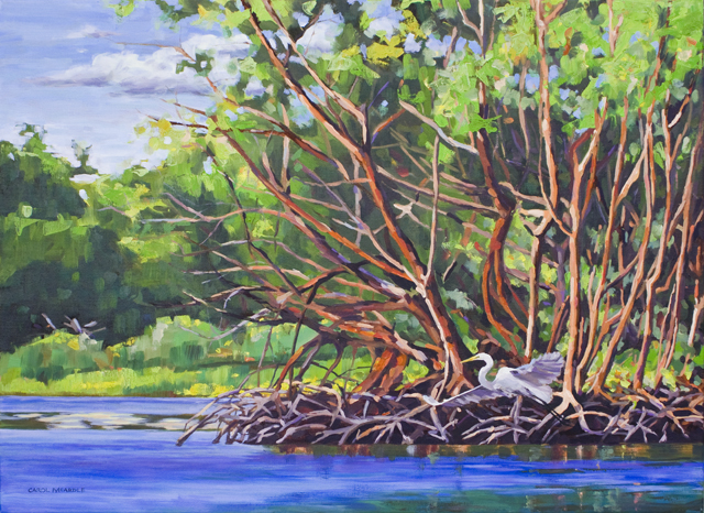 Mangrove Escape 22x30